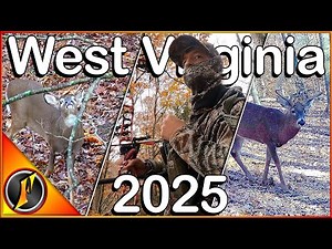 Bucks EVERYWHERE! | Bow Hunting the West Virginia Rut 2025!!!