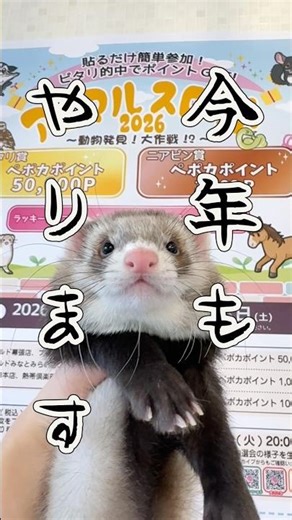 Just stick it on and participate! 🎶 Animal Slots 2026 is here! ✨ For details, see the link to the...