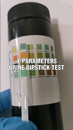4-parameters urine dipstick test #laboratory #medtechstudent #cls #mls #lab #urinalysis #urine #UA
