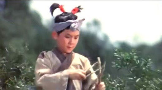 精忠报国（岳飞），