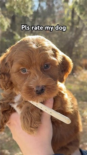 Why you gotta be so cute?🥰 #cutenessoverloaded