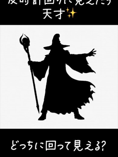 どっちに回って見える？-魔導士ver.- #シルエット #シルエット錯視 #不思議 #目の錯覚
