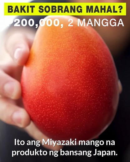 616K views · 14K reactions | Full video https://www.facebook.com/share/v/1BrM6mj81h/ | Awe Republic | Facebook