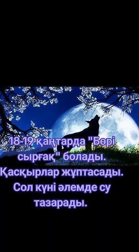 Көк бөрі