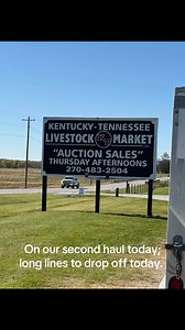 27 reactions · 5 comments | Today we brought in four feisty bull calves and are also saying good by to two of our wonderful momma cows; Peyton and Onyx. They are both bred, gentle and loving girls. We have been blessed to have them in our herd and know that they will be a wonderful addition to someone else’s herd. #cows #ranchlife #blessed #thankful | Tami McCurdy Taliento | Facebook