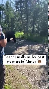 6.5M views · 9.5K reactions | This guy completely repairs worn-out leather car seats to make them look as good as new  | UNILAD | Facebook