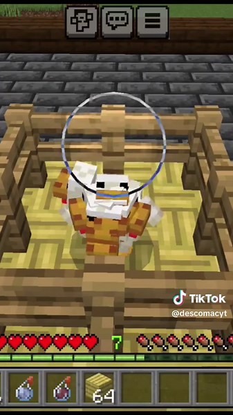 ¡Experimenta como volar en Minecraft!