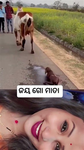 ରବିବାର ରେ ଯଦି video ଦେଖିଲେଣି ତାହାଲେ ବହୁତ ଶୁଭ #viralvideo #shortvideo #viralvideo #shortvideo #🙏🙏🙏🙏🙏