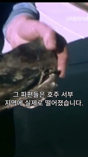 스카이랩 추락 사건 (1979) | NASA도 막지 못한 우주정거장 추락 사건