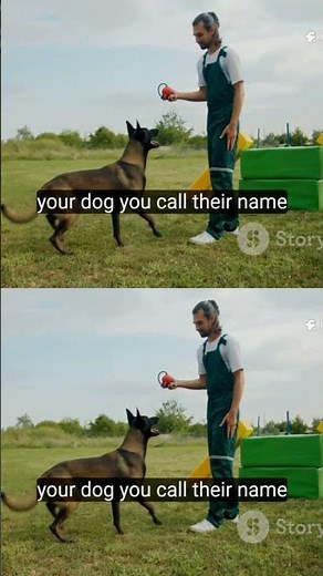 Transform Your Dog's Behavior With Proven Techniques #DogTraining #K9