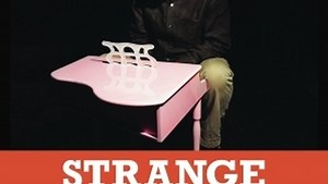 The Magnetic Fields : Le documentaire en DVD