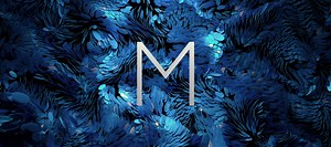 Monotype Type Reinvented – Responsive Energy Scene 3