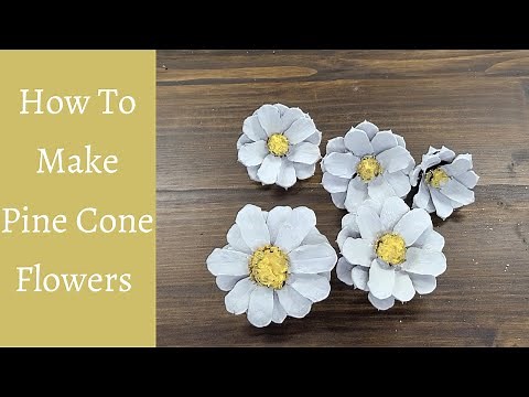 How To Make Pine Cone Flowers - Pine Cone Daisies!