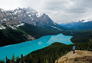 Legacy Giving - Nature Canada
