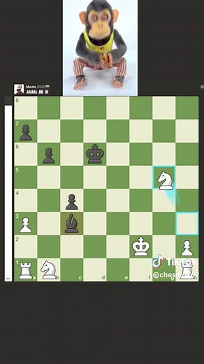 Understanding Martin: The Beginner Chess Bot Phenomenon