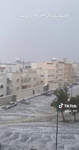 Urban Snowfall: A Winter Wonderland in the City