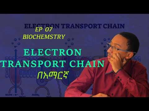 Biochemistry Ep 07: Electron Transport Chain