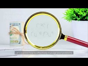 The Ultimate Guide to Effective Pest Control | What It Is & How It Works