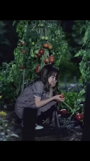 Movie.Zone.HQ on Instagram: "🎬 Chasing Secrets (1999) Genres: Drama, Family Runtime: 2 hours Overview: Chasing Secrets is a heartfelt drama revolving around themes of friendship, social injustice, and courage. Set in the early 1900s, the story focuses on a young girl who discovers her family's hidden connection to a Chinese family living in their basement during a time of discrimination and fear. The film highlights the bond formed across cultural divides and sheds light on the challenges of st