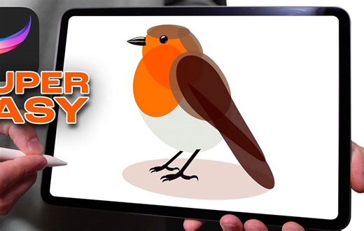 【Procreate】新手级教程 手把手一步步教你绘制这幅超简单的知更鸟插画 from Joel Create