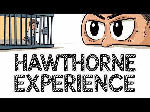 L’effet Hawthorne – Définition + Exemples !
