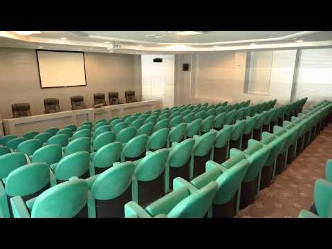 Team building u prirodi: Iskustvo koje menja radnu atmosferu