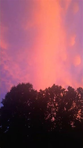 yo bro's this sunset bouta play🔥