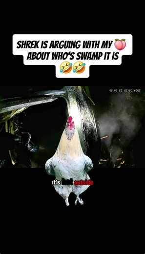 Shrek is Here! 🤣 #funny #memes #shorts