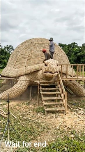 Building a Stunning Bamboo Turtle House from Scratch 🐢🌿#shorts #BambooHouse #EcoFriendlyLiving