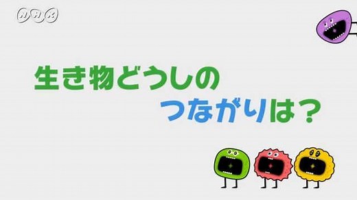 生き物どうしのつながりは？ | ふしぎエンドレス　理科６年 | NHK for School