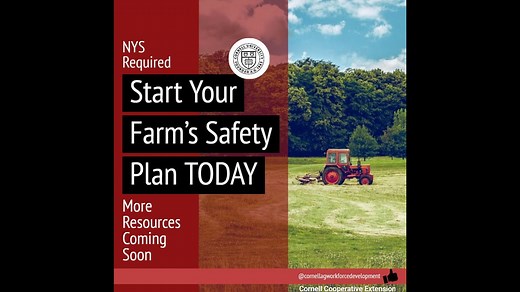 NY Forward Business Safety Plan