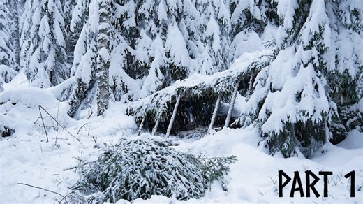 What it takes to survive days in a snowbound forest part 1