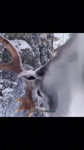 M O O N (@m.o.o.n9334)’s videos with original sound - M O O N