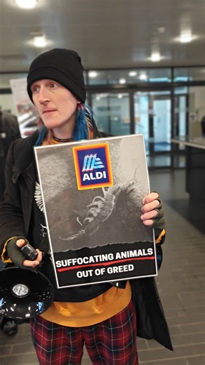 Aldi cannot be a leader in animal welfare as long as they are connected to the extreme suffering of shrimps. These sentient animals have their eyes cut off and are left to suffocate on ice. This is insanity. This is cruelty. This is abuse. It’s time for Aldi to cut ties with eyestalk ablation and ice slurry. #aldiuk #animalactivism #aldihaul #defendanimals #animalabuse | Animal Activism Collective