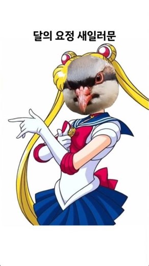 달의 요정 새일러문