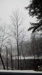 Janice Davis on Reels