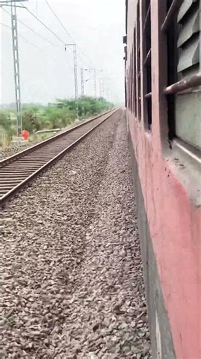 Lifeday#ronakmela#criket#irack