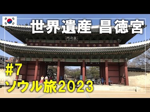 【ソウル旅】2023#7 昌徳宮（チャンドックン）を見学！ソウル中心部にある世界遺産 서울,한국 Seoul,Korea Travel