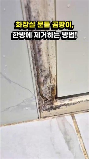 How to Get Rid of Bathroom Tile and Door Frame Mold Once and For All!