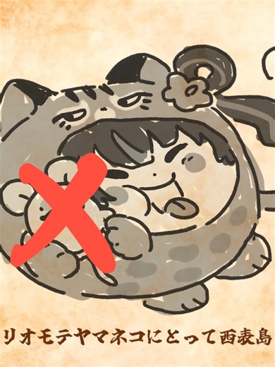 【天然記念物】イリオモテヤマネコについて！【解説】