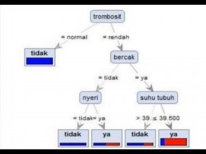 Penerapan Decision Tree Menggunakan Algoritma C4.5 Untuk Deteksi Demam Berdarah
