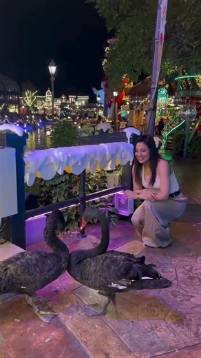 ♥️♥️♥️♥️♥️#love #trending #weddingcouple #song #viral #wedding #odiasong #shortsvideo #couple