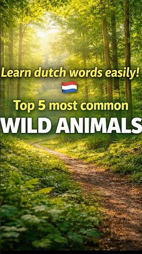 🇳🇱 Simple Dutch: Popular Wild Animals 🐾