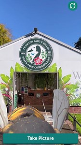 5.4K views · 46 reactions |  Cardiff’s MEGA Mini Beasts have come...