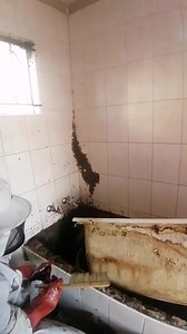 33 reactions | For Bees removal sithinte:0781517142 | Frank Mxolisi Masondo | Facebook