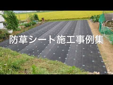 農地周りでの防草シート施工事例その1