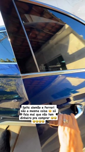 Spitz alemão anao ❤️❤️ #spitz #spitzalemao #spitzclub #spitzofinstagram | Jack Kolchraiber