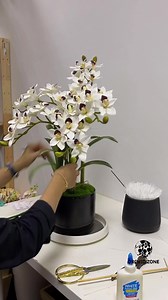 145K views · 2.7K reactions | Hi Salam & Morning semua… Harini rest day utk Niza dan Orchid.Zone selepas 3 hari di Karnival Putrajaya.. . Kami mula bekerja semula bermula esok (Selasa 27.9.2022) . Meantime untuk harini Niza share videos and such ya…enjoyyyy. 殺殺殺 . Our official link  https://klik.vip/OrchidZone | Orchid.Zone | Facebook