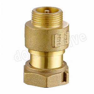 [Hot Item] Brass in-Line Check Valve with Free Nut