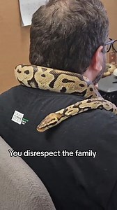 6.6K views · 23 reactions | Looking to add a new member to your family? Look no further! At Toronto Humane Society, we have a diverse range of animals available for adoption, including not just dogs and cats, but also bunnies, turtles, rats, chinchillas, mice, snakes, and more! These adorable pets are ready to find their forever home, come visit us at 11 River Street and fill out an application form!  | Toronto Humane Society | Facebook